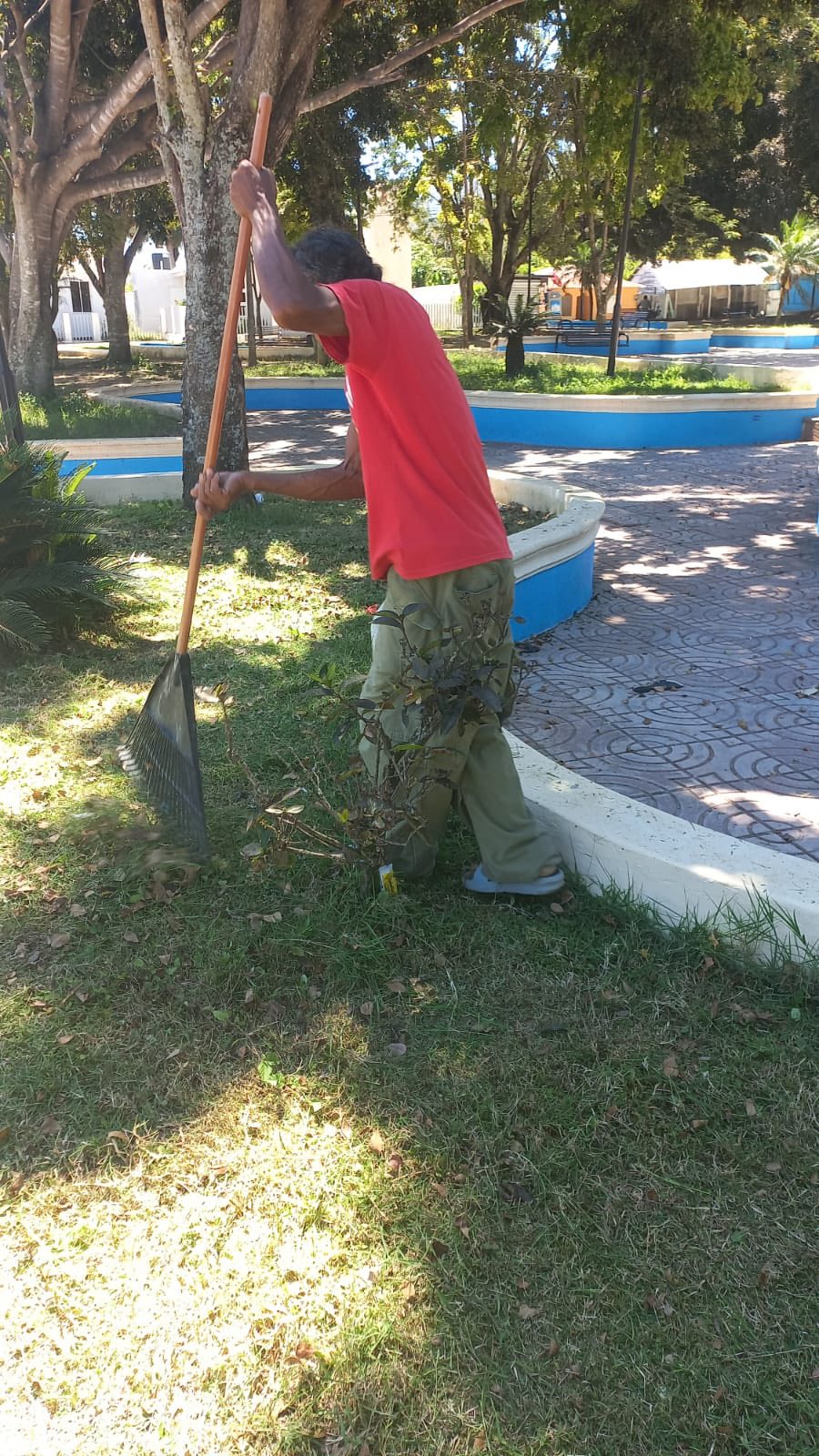 Ayuntamiento de Juan Santiago acondiciona jardineras del parque municipal.